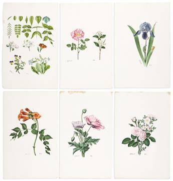 (BOTANICAL.) John Henry Hopkins. Vermont Drawing Book of Flowers.